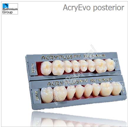 AcryEvo posterior