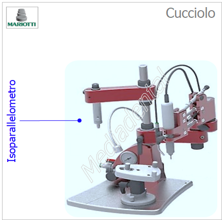 Cucciolo
