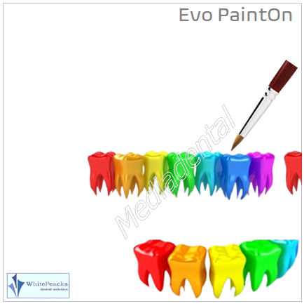 EvoColor PaintOn