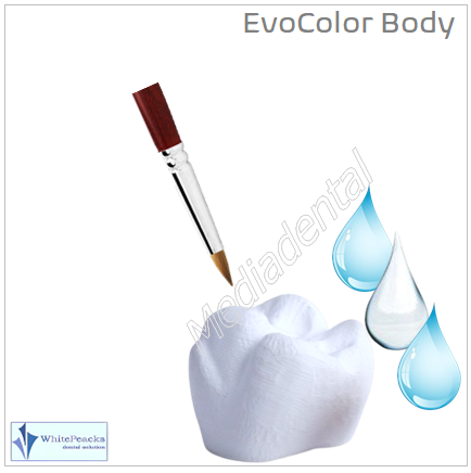 EvoColor body