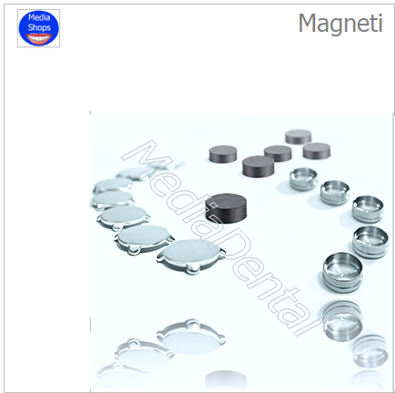 Magneti