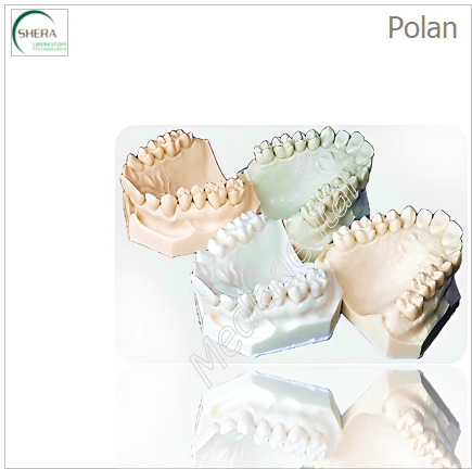 Polan