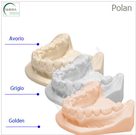 Polan