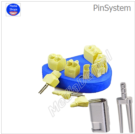 PinSystem