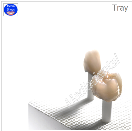 Tray